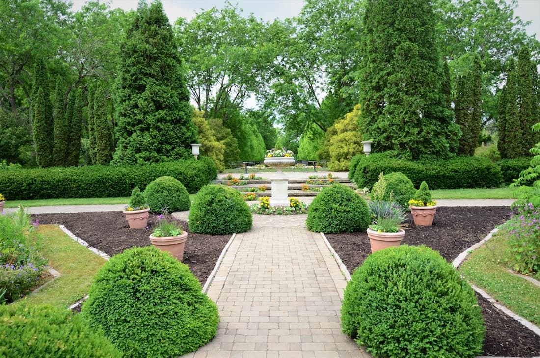 Pasto y Jardín 1